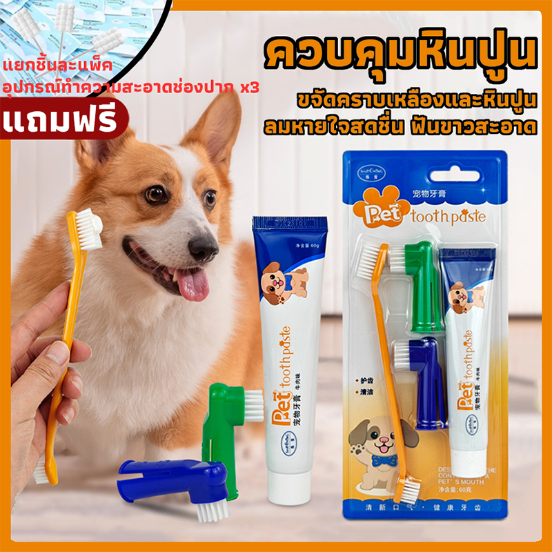 พร้อมส่ง! ชุดแปรงสีฟันและยาสีฟันสำหรับสัตว์เลี้ยง ใช้ได้ทั้งสุนัขและแมว ช่วยทำความสะอาดช่องปาก ลดกลิ่นปาก ขนแปรงนุ่ม ปลอดภัยเกรดอาหาร มีหลายรสชาติ