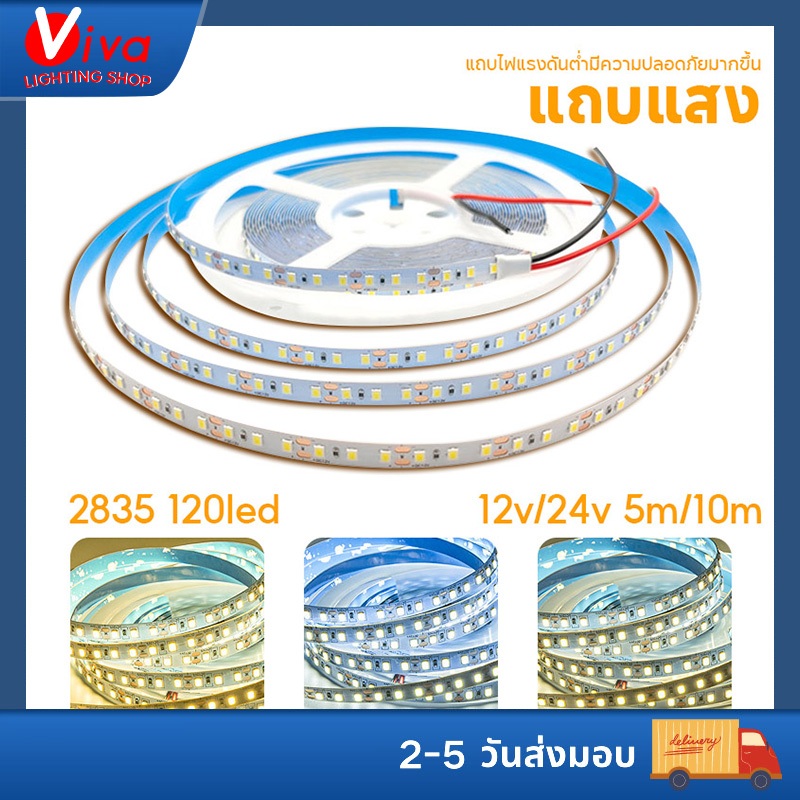 โคมไฟ แถบแสงที่ยืดหยุ่น 2835 led 12v/24v แรงดันต่ำ 5m/10m โคมไฟตกแต่งบ้าน ปลอดภัยในการใช้งาน กาวยึดติดด้วยตนเอง ติดตั้งง่าย