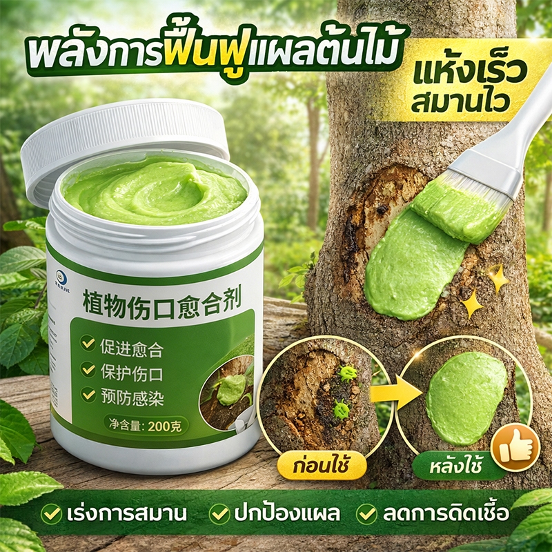 🪴สมานแผลพืชได้รวดเร็ว🌳 MK ยาทาแผลต้นไม้ ทาแผลต้นไม้ ยาทาแผลต้นไม้ป้องกันเชื้อรา ป้องกันเน่าเสีย ใช้ได้กับพืชหลายชนิด
