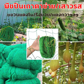 ตาข่ายล้อมไก่ ตาข่ายปลูกผัก ดักสัตว์ กันสัตว์รบกวน แข็งแรง ทนทาน หลายขนาด