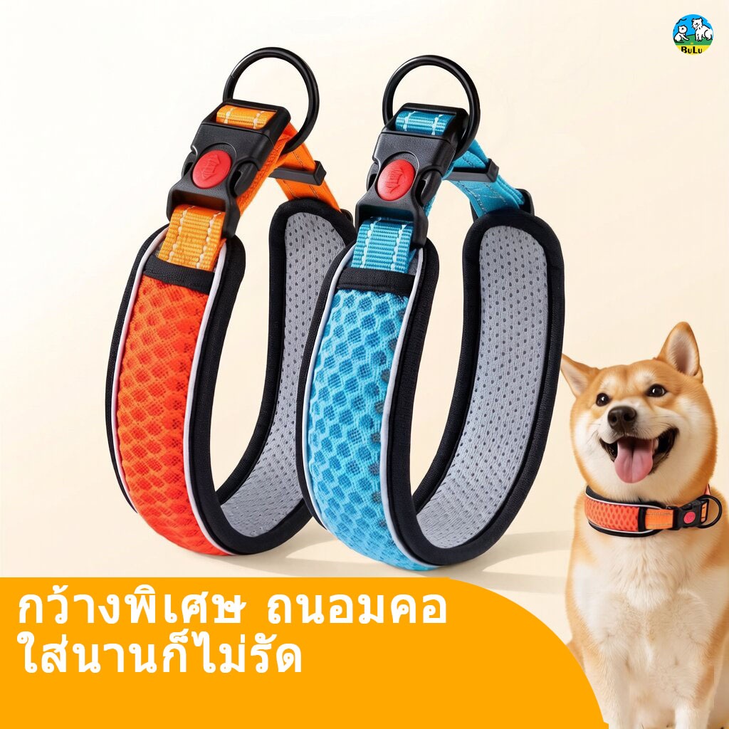ปลอกคอ ระบายอากาศ สะท้อนแสง สำหรับสุนัขพันธุ์เล็ก แมว คอกว้าง ขอบนุ่ม ไม่เสียดสี แห้งเร็ว ใส่สบายทั้งวัน พร้อมสายจูง 1.5 ม.