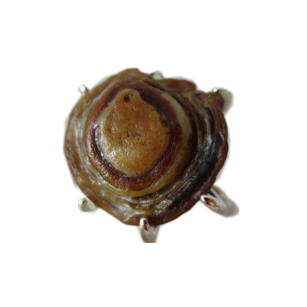 R014 Alxa.Eye Stone.Colorful Agate.Gobi Stone หินหยาบ.Strange Stone Agate.Ring.