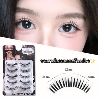 ขนตาปลอมเปียกการ์ตูนชิ้นเดียวธรรมชาติสร้างไทยแต่งหน้าหนารากห…