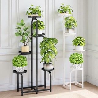 ชั้นวางต้นไม้ 3/4/5 ชั้น สำหรับวางต้นไม้หลายต้น ชั้นวางโชว์ก…