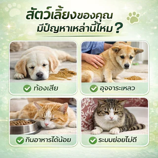 วิตามินแมว บำรุงร่างกาย ดูแลพฤติกรรมแมว ลดความเครียด กินง่าย 140g พร้อมส่ง