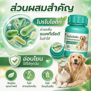 วิตามินแมว บำรุงร่างกาย ดูแลพฤติกรรมแมว ลดความเครียด กินง่าย 140g พร้อมส่ง