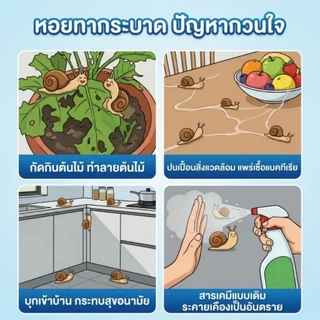 🐌ช่วยไล่ได้รวดเร็ว🐌ยาฆ่าหอยทาก กำจัดหอยทาก ไล่หอยทาก ยาหอยเชอรี่ ลดปัญหาหอยกัดต้นไม้ ใช้ได้ในสวน แปลงผัก และรอบบ้าน