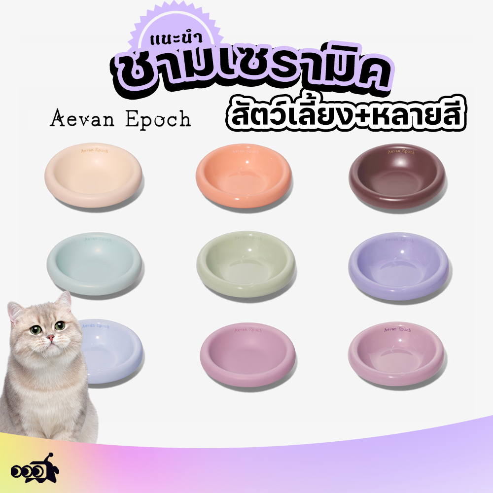 🔔ชามสัตว์เลี้ยงเซรามิก หลายสีAevan Epoch|🐱เกรดอาหาร+ปลอดภัย+ทำความสะอาดง่าย🌈 (สำหรับแมวและสุนัข)