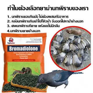 💥1แถม1💥ยาเบื่อนกพิราบ กำจัดพิราบและนกทุกชนิด ยาฆ่านก ทำลายอวัยวะภายในตายใน1ชม. แห้งเร็วและไม่มีกลิ่น ยากำจัดนกพิราบ