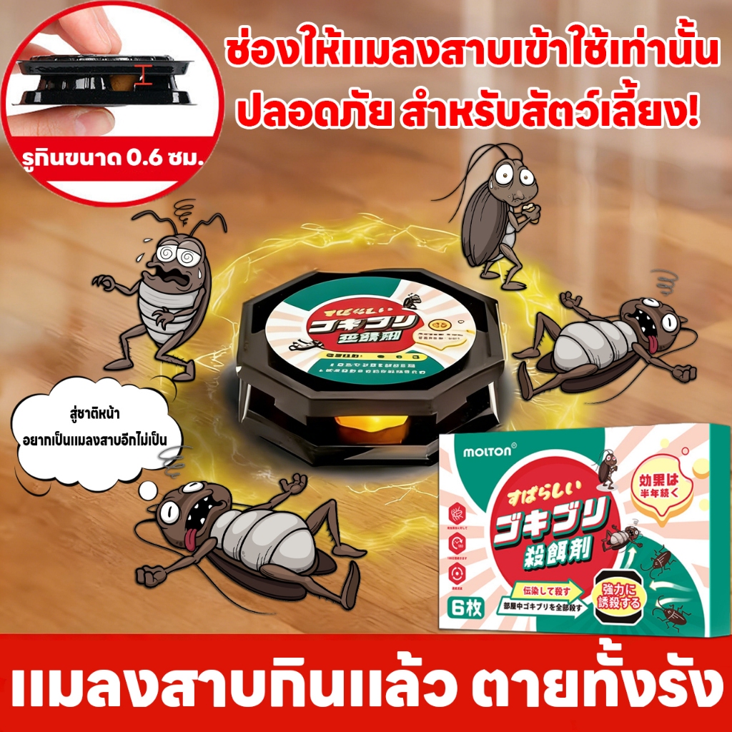 ตายหมดทั้งรัง ล่อแมลงสาบ ได้ผล100% กำจัดแมลงสาบอย่างถาวร ที่ดักแมลงสาบ กับดักแมลงสาบ ยาฆ่าแมลงสาบ เจลกำจัดแมลงสาบ