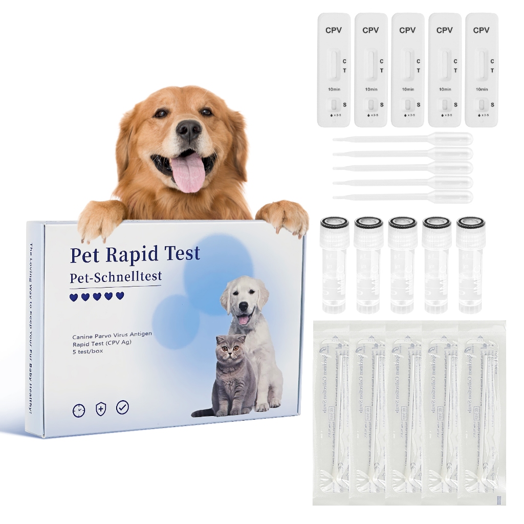 PawsXfun Canine Pravo Virus Test Kit: การตรวจจับบ้าน CPV สุนัข 5 ชิ้นในอุจจาระ/Vomit 5 นาที - การรุก