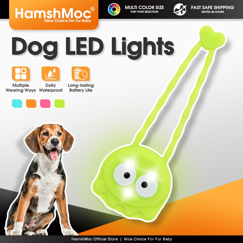 HamshMoc สุนัขไฟ LED คลิปบนแท็กสัตว์เลี้ยงสุนัขกันน้ําสําหรับเดินกลางคืนสดใสการมองเห็นสูงเรืองแสงติดปลอกคอสายจูงสายรัดป้องกันการสูญหาย