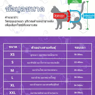 คาซอฟท์ 2เอ็กแอล ผ้าอ้อมสุนัขเพศเมียสําหรับสายพันธุ์ยักษ์ 18-32 กก. กางเกงแบบใช้แล้วทิ้งซุปเปอร์ดูดซับพร้อมการป้องกันการรั่วไหลเกรดแล็บและควบคุมกลิ่น ปรับเอว 38-58 ซม. 12 แพ็ค
