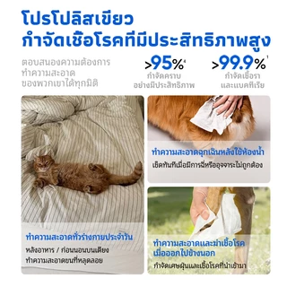 LORDE Pet Wipes PRO ทิชชู่เปียกสัตว์เลี้ยง อ่อนโยน ดับกลิ่น บรรเทาคัน ขนเนียนนุ่ม เช็ดหน้า อุ้งเท้า