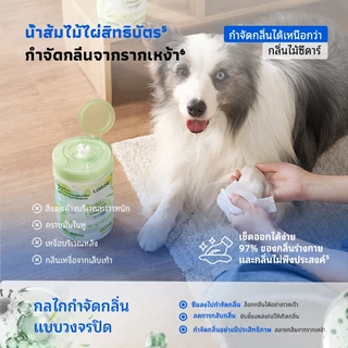 LORDE Pet Wipes PRO ทิชชู่เปียกสัตว์เลี้ยง อ่อนโยน ดับกลิ่น บรรเทาคัน ขนเนียนนุ่ม เช็ดหน้า อุ้งเท้า