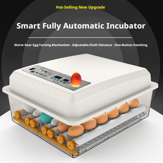 เครื่องฟักไข่อัตโนมัติ ระบบไฟฟ้าสองช่อง 220V/12V แผ่นวางไข่ป…