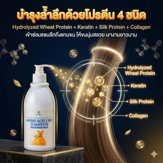 แชมพูหมาแมว 2 in 1 ผสมครีมนวดขน ขวดเดียวจบ ขนนุ่มลื่น ลดขนพันกัน กำจัดไรเห็บหมัด แก้คัน หอมติดทนนาน ธรรมชาติ ไม่แสบตา 500ml