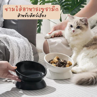 ชามใส่อาหารสัตว์เลี้ยงเซรามิก เส้นผ่าศูนย์กลาง 5 นิ้ว ดีไซน์เอียง 15 องศา ป้องกันอาหารหก Ceramic pet food bowl