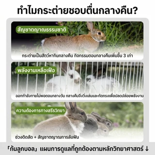 ของเล่นกระต่าย ลูกบอลระบายอารมณ์ น่ารัก ของเล่นจำลองตูดกระต่าย ของเล่นจำลองตูดกระต่าย