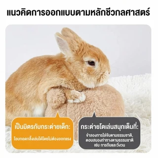 ของเล่นกระต่าย ลูกบอลระบายอารมณ์ น่ารัก ของเล่นจำลองตูดกระต่าย ของเล่นจำลองตูดกระต่าย