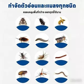 ตัวแทนขุดลอกท่อ/ยาฆ่าแมลง 500มล สามารถกําจัดแมลงสาบ แมลงบิน ตะขาบและศัตรูพืชอื่นๆ อําลาท่อได้อย่างมีประสิทธิภาพ!⚡แดง ลดวันในท่อ