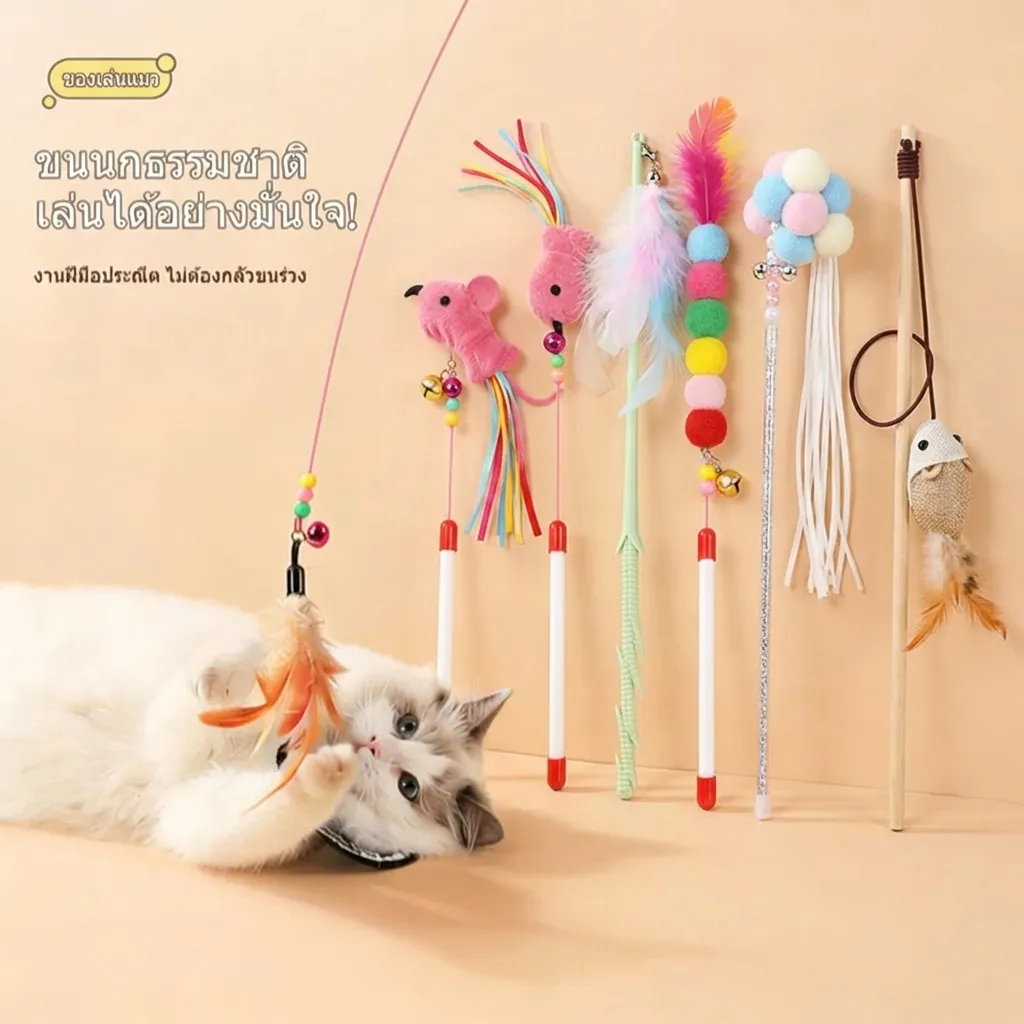 จัดส่งจากท้องถิ่น🚚ไม้ของเล่นแมว, ไม้จับแมว,ไม้ตบแมว，บอลแมว，ไม้แมวสายเหล็ก, ไม้ของเล่นแมวขนนก ของเล่นแมวทนทาน