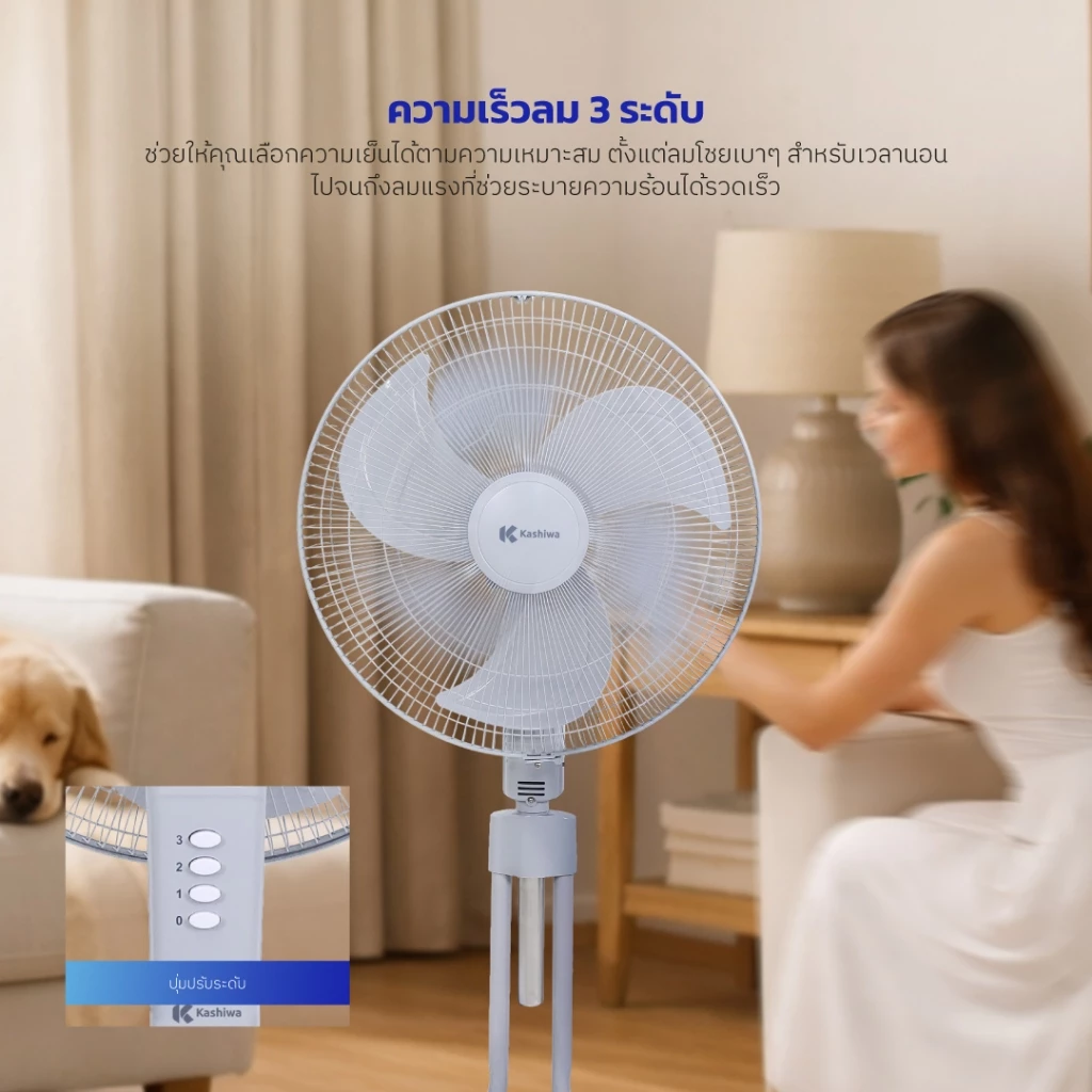 Kashiwa รุ่น FS-1812 พัดลมตั้งพื้นอุตสาหกรรม 18 นิ้ว ปรับแรงลม 3 ระดับ ปรับความสูงได้ กำลังไฟ 85 วัตต์ รับประกัน 1 ปี thumbnail 5