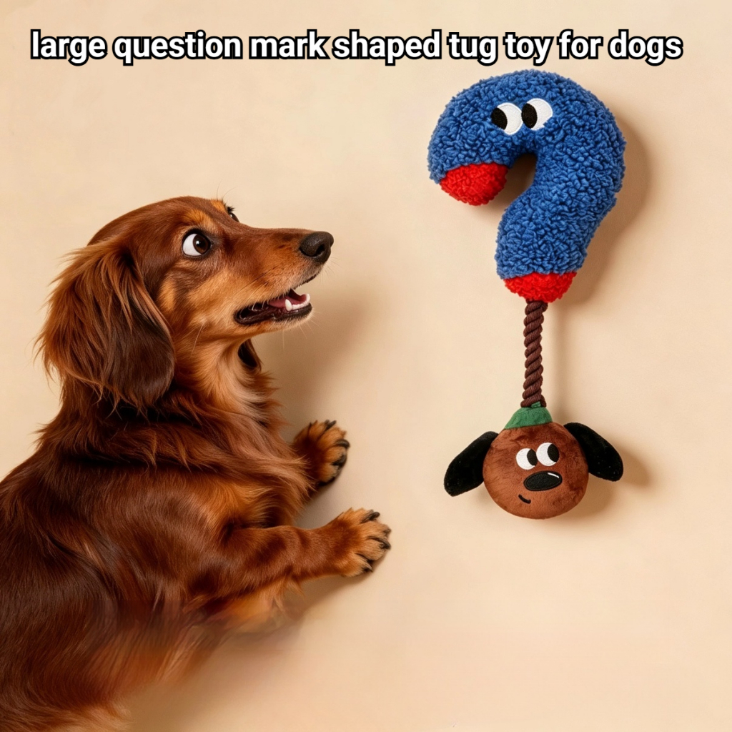 เครื่องหมายคําถาม Dachshund Tug-of-War ของเล่นสัตว์เลี้ยง Squeaky ของเล่นการงอกของฟันและความบันเทิงตุ๊กตาสุนัขของเล่น