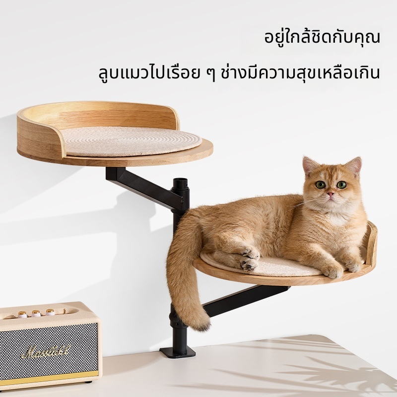 ที่นอนแมวปรับระดับบนโต๊ะ ⭐ มี 2 แบบ คือ ไม้โอ๊ค / วีลวอบ เลือกได้ ที่นอน 1 หลุม / 2 หลุม ไม่ใช้พื้นที่
