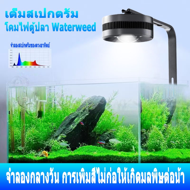 LED Full spectrum โคมไฟตู้ปลาทรงกลม 35/55/80W สเปกตรัมแสงขาว สําหรับ Hillstream และพืชน้ํา พร้อมขาแขวน