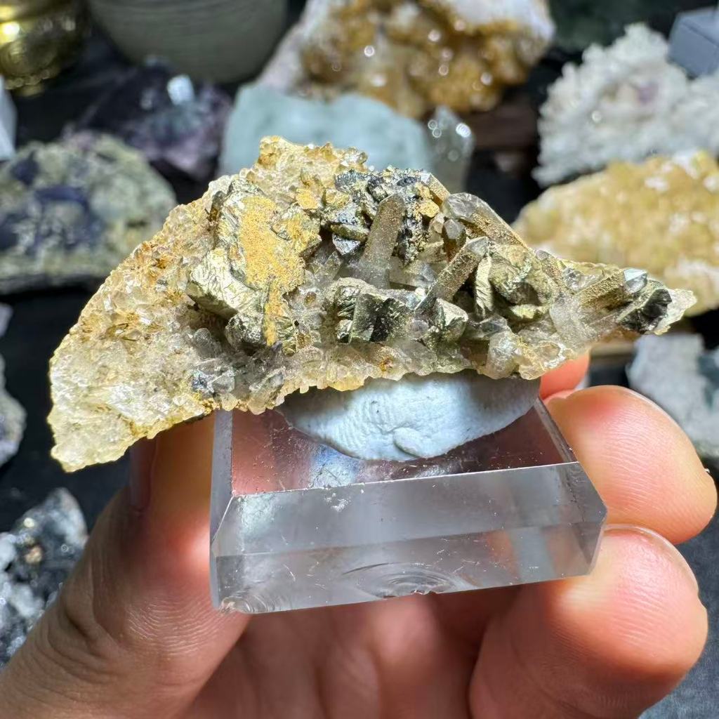 มองโกเลียในประณีต Pyrite Crystal Symbiosis