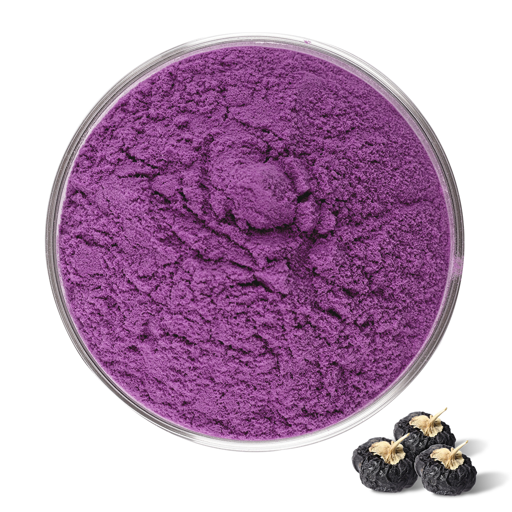 โรงงานจัดหาผงโกจิเบอร์รี่สีดําธรรมชาติเกรดอาหารผง Wolfberry สีดํา