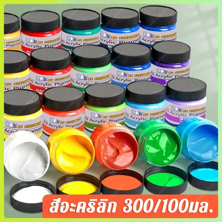 สีอะคริลิค  Color Selected ขนาด 300ml สีสีสำหรับเด็กและผู้ใหญ่สำหรับผ้า/เสื้อผ้า/เล็บ/ผ้าใบ/ หิน ภาพวาดกันน้ำ