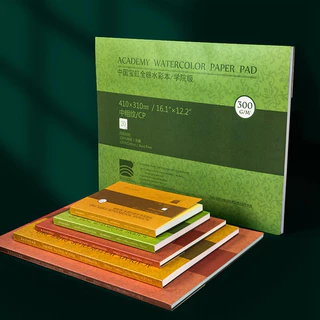 BaoHong ศิลปินกระดาษสีน้ำ 300g ผ้าฝ้าย 100% 20 แผ่น Professional หนังสือสีน้ำ/Sketchbook สำหรับอุปกรณ์ศิลปะการวาดภาพ