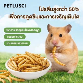 PETLUSCI หนอนอบแห้ง 1800ml อาหารหนูแฮมเตอร์ หนอนอาหาร โปรตีนสูง Hamster หนอนอาหารแห้ง หนอนนก
