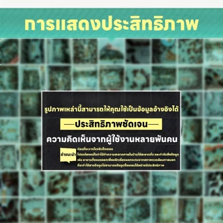 แมลงสาบตายทั้งรัง บ้านแมลงสาบ ฆ่า ดัก บ้านดัก ปลอดภัย ไม่มีสารพิษ ไม่มีกลิ่น ยาฆ่าแมงสาบ แมลงสาบ
