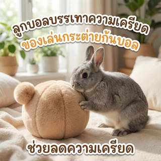 ของเล่นกระต่าย ลูกบอลระบายอารมณ์ - ลดพฤติกรรมก้าวร้าว ไม่กัดเฟอร์นิเจอร์ ของตกแต่งกรงน่ารัก ส่งฟรี