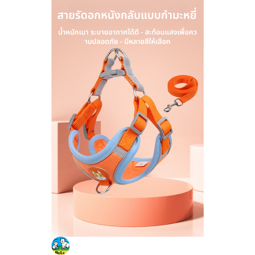 ชุดปลอกอกสุนัขสะท้อนแสง พร้อมสายจูง ปรับได้ ห่วง D คู่ ลดกระแทก ระบายอากาศ สำหรับสุนัขขนาดเล็กและกลาง พร้อมส่ง ราคา ถูกที่สุด ดีลบีเคเค แกลเลอรีภาพที่ 4