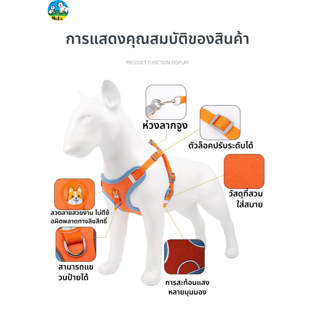 ชุดปลอกอกสุนัขสะท้อนแสง พร้อมสายจูง ปรับได้ ห่วง D คู่ ลดกระแทก ระบายอากาศ สำหรับสุนัขขนาดเล็กและกลาง พร้อมส่ง ราคา ถูกที่สุด ดีลบีเคเค แกลเลอรีภาพที่ 5