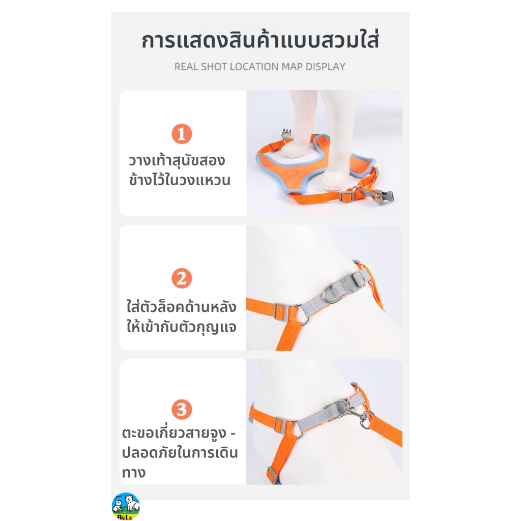 ชุดปลอกอกสุนัขสะท้อนแสง พร้อมสายจูง ปรับได้ ห่วง D คู่ ลดกระแทก ระบายอากาศ สำหรับสุนัขขนาดเล็กและกลาง พร้อมส่ง ราคา ถูกที่สุด ดีลบีเคเค แกลเลอรีภาพที่ 8