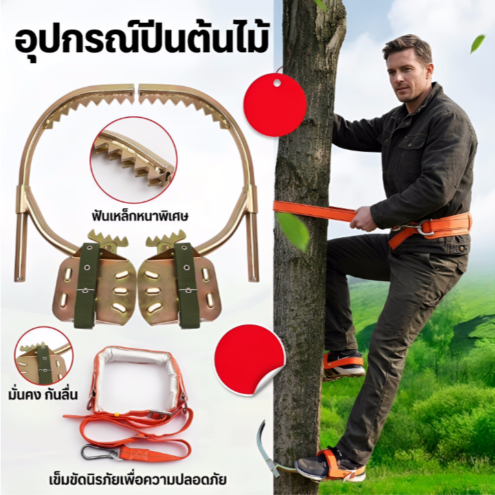 อุปกรณ์ปีนต้นไม้เครื่องมือปีนต้นไม้ / เครื่องมือปีนเสาเข็มขัดนิรภัยเสาปีนเขาช่วงปรับได้ 200 * 400 มม. สายรัดนิรภัย