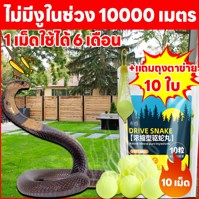 🐍งูแมลงไม่กล้าเข้าเลยค่ะ！🐍กําจัดงู ไล่งู กํามะถัน แถมถุงตาข่าย 10 ใบ ยาไล่งู สารไล่งู ที่ไล่งู