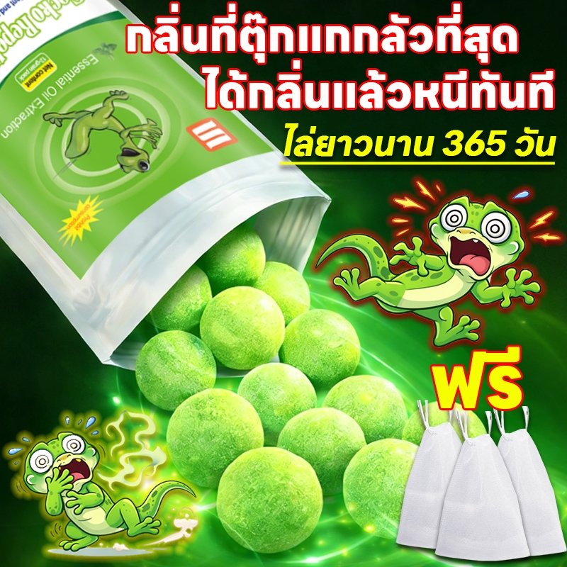🦎10 ปีไม่มีตุ๊กแก🦎Li ยาไล่ตุ๊กแก ไล่ตุ๊กแก ยาฆ่าจิ้งจก สกัดจากพืช ไม่เป็นอันตรายต่อคนและสัตว์เลี้ยง รุ่นใหม่ล่าสุดปี 2024