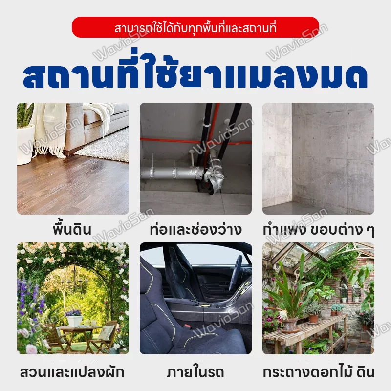 ซื้อครั้งเดียวใช้ได้นานเป็นปี LI ยาฆ่ามด เหยื่อมด รูปที่ 7