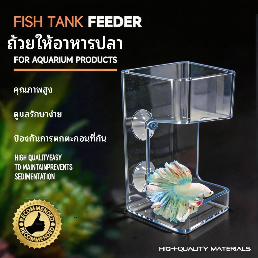 Feeder โปร่งใสติดผนัง อะคริลิค ขนาดเล็ก สําหรับปลา
