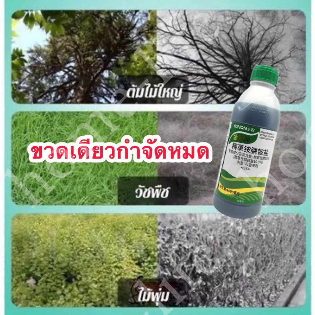 สารกําจัดวัชพืช, 100มล. ถอดวัชพืชใบแคบที่มีประสิทธิภาพ, วัชพืชใบกว้างและวัชพืชต่างๆรวมรากและใบ