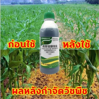 ถอดใบแคบอย่างมีประสิทธิภาพ, วัชพืชใบกว้างและวัชพืชต่างๆรวมรากและใบ, ตัวแทนกําจัดวัชพืชรูปแบบใหม่ 1,00