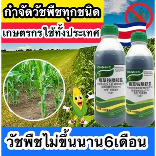 ถอดใบแคบอย่างมีประสิทธิภาพ, วัชพืชใบกว้างและวัชพืชต่างๆรวมรากและใบ, ตัวแทนกําจัดวัชพืชรูปแบบใหม่ 1,00