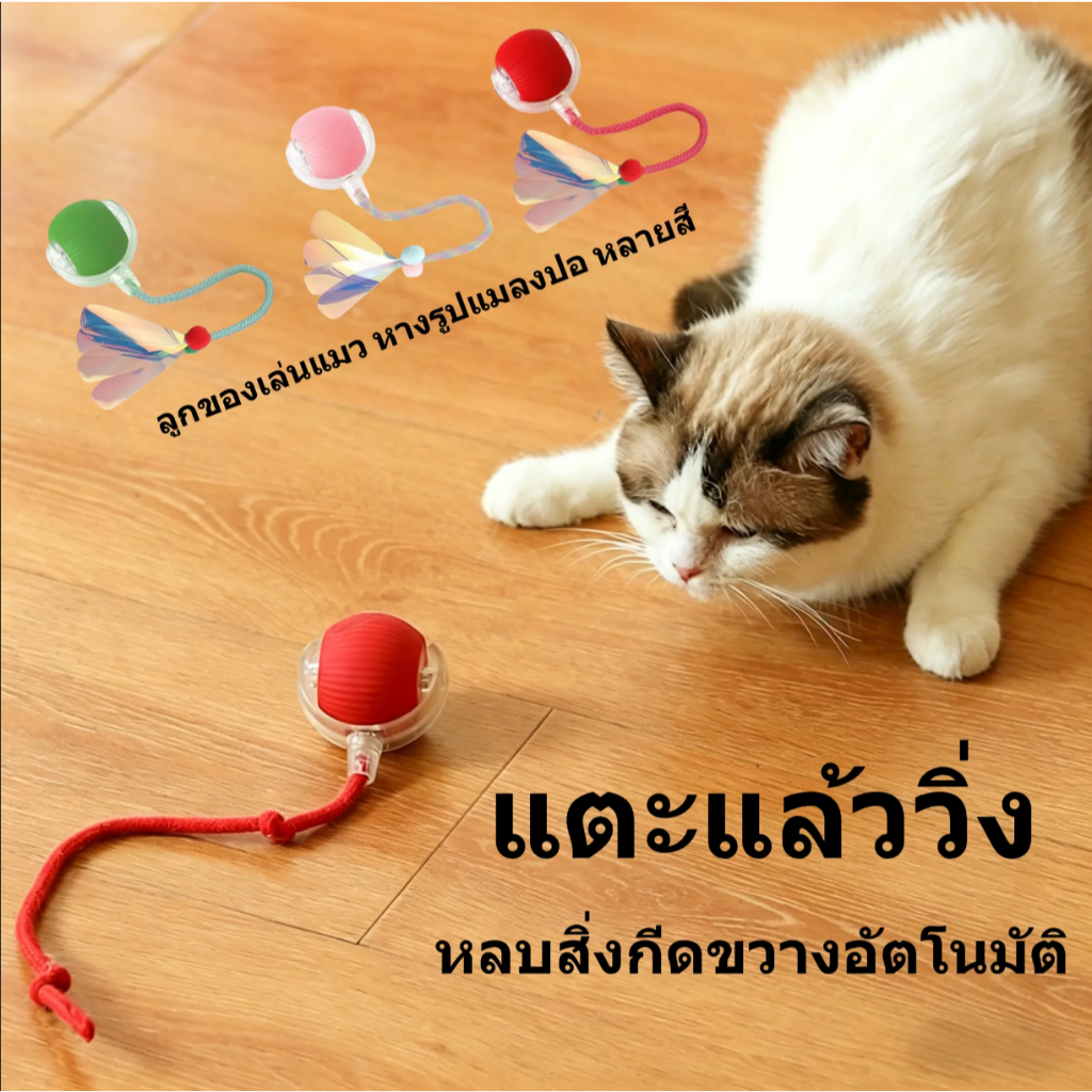 สินค้าใหม่ ของเล่นแมว ลูกบอล ลูกบอลกลิ้งสัตว์เลี้ยงอัจฉริยะ การเบื่อหน่ายด้วยตนเอง เครื่องมือที่มีประโยชน์ พร้อมเชือก ล้อเล่น ลูกบอลแมว ของเล่นแมว