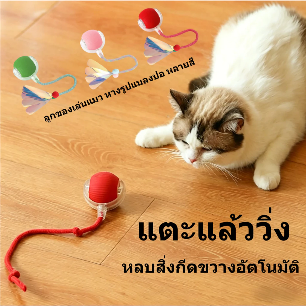 สินค้าใหม่ ของเล่นแมว ลูกบอล ลูกบอลกลิ้งสัตว์เลี้ยงอัจฉริยะ การเบื่อหน่ายด้วยตนเอง เครื่องมือที่มีประโยชน์ พร้อมเชือก ล้อเล่น ลูกบอลแมว ของเล่นแมว
